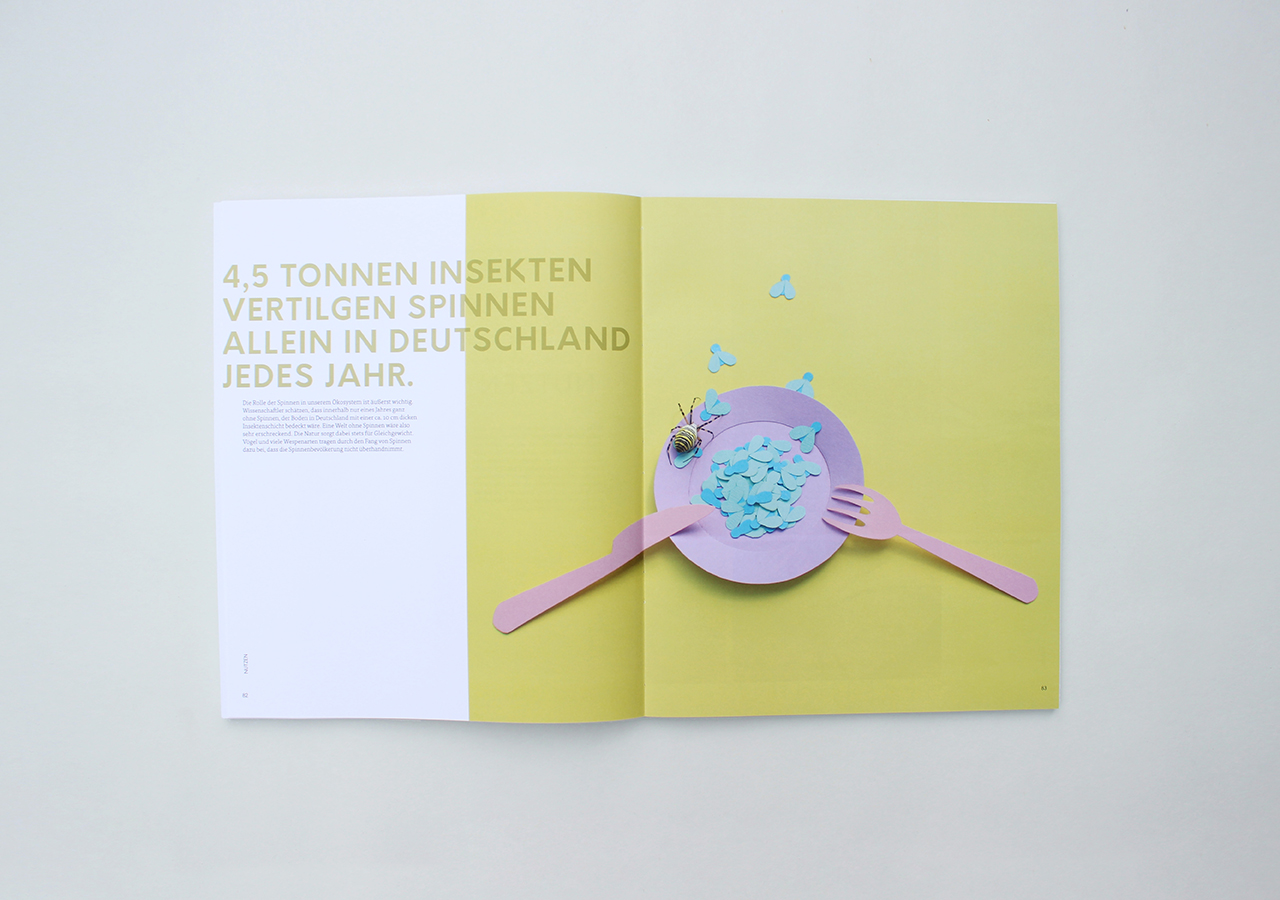spinnenbuch3_designstudentin_nele-henrich