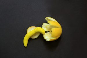 Die Verwandlung des Zitronenfalters