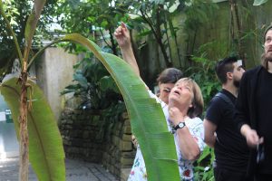 Frau Dr. Steinecke gab den Designstudenten eine spannende Führung zu essbaren Pflanzen im Palmengarten