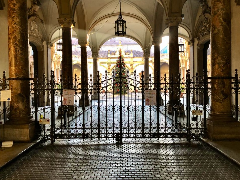 Weihnachtsbaum in Turin