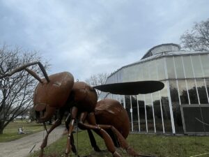 Besuch im Palmengarten