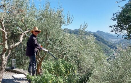 arrivederci